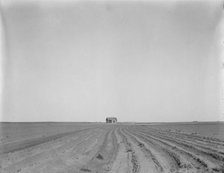 Abandoned tenant house, seen across tractored cotton fields, Childress County, Texas, 1937. Creator: Dorothea Lange.