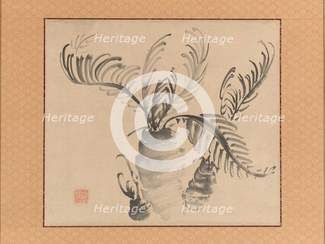 Cycad, mid-18th century. Creator: Ike no Taiga.