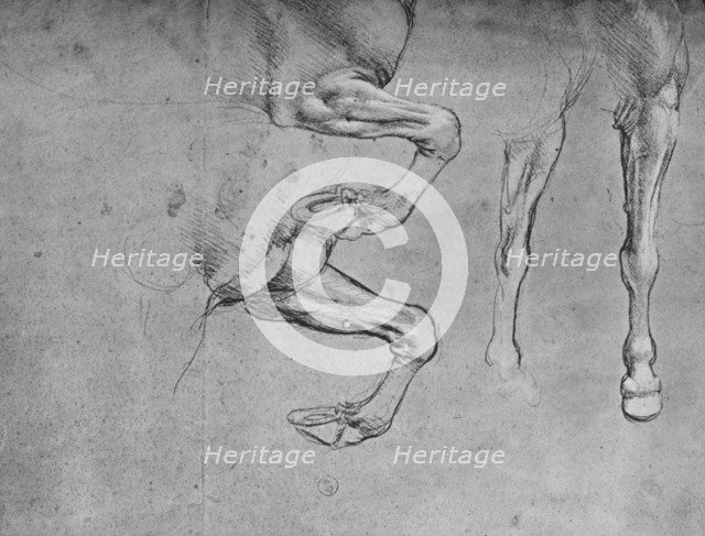 'Four Studies of Horses' Legs', c1480 (1945). Artist: Leonardo da Vinci.