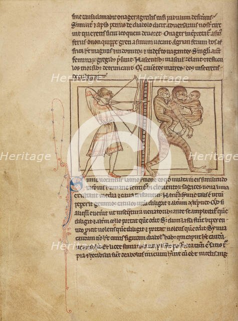 Apes; Northumberland Bestiary, about 1250-1260. Creator: Unknown.