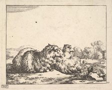 Sheep, from a set of 16 plates, 1664. Creator: Marcus de Bye.