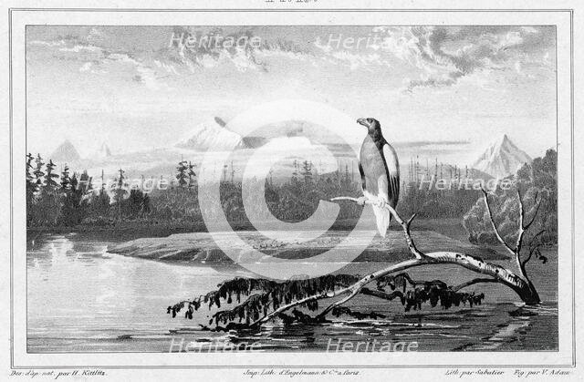 View of the Kamchatka River Kamchatka peninsula, 19th century. Creator: Friedrich Heinrich Kittlitz.