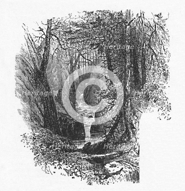 'A Feeder to the Lake', 1883. Artist: Unknown.