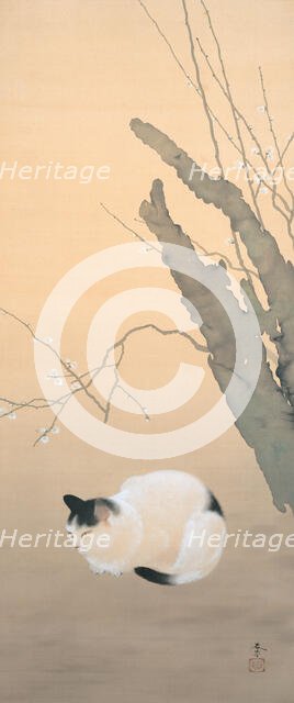 Cat and Plum Blossoms, 1906. Creator: Shunso, Hishida (1874-1911).