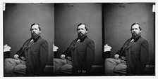 Webster, Hon. Edwin Hanson of Md. Colonel of 7th Md. Inf. Regt. 1862-3, ca. 1860-1865. Creator: Unknown.