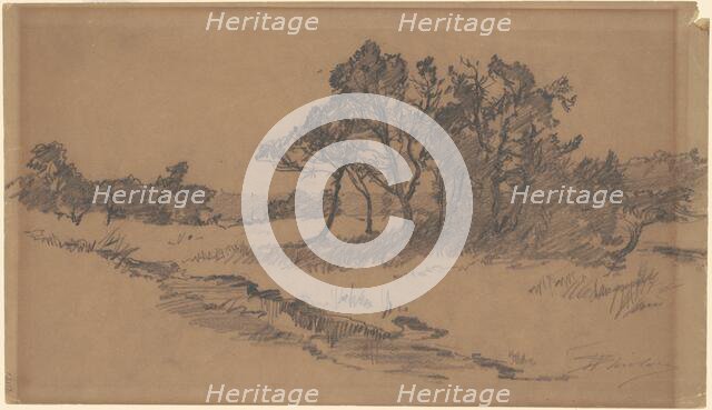 Trees in a Field, late 19th century. Creator: Walter Shirlaw.