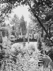 Edge, Charles N., garden, 1933 Creator: Arnold Genthe.