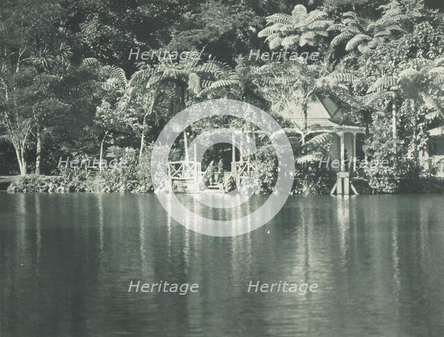 In the New Plymouth Recreation Grounds. From the album: Record Pictures of New Zealand, 1920s. Creator: Harry Moult.