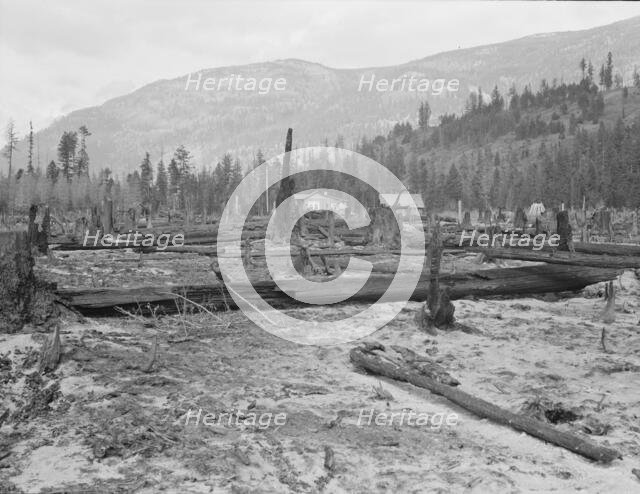 New farm home, Boundary County, Idaho, 1939. Creator: Dorothea Lange.