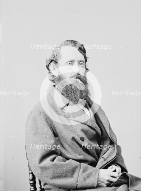 Benjamin Gratz Brown of Missouri, between 1855 and 1865. Creator: Unknown.