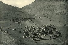 'Caravan Passing Through the Khyber Pass', 1901. Creator: Bourne & Shepherd.