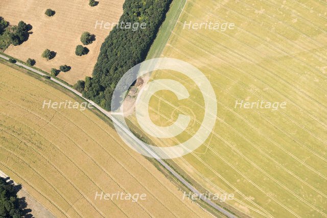 Crop mark of a possible Iron Age settlement in the form of a banjo enclosure, West Berkshire, 2018. Creator: Damian Grady.