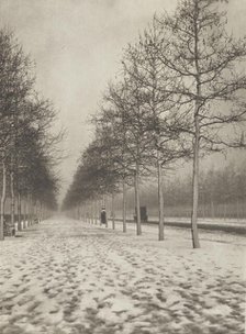 The Mall in winter. From the album: Photograph album - London, 1920s. Creator: Harry Moult.