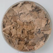 Papyri Fragments, Coptic, 7th century. Creator: Unknown.