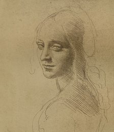 A female head, c1472-c1519 (1883), Artist: Leonardo da Vinci.