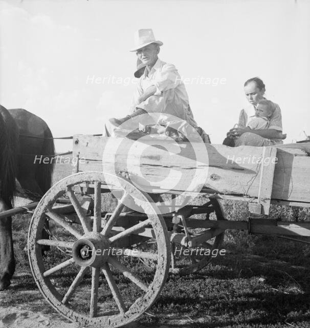 Horse and wagon is still a common means of transportation..., Southeast Missouri Farms, 1938. Creator: Dorothea Lange.