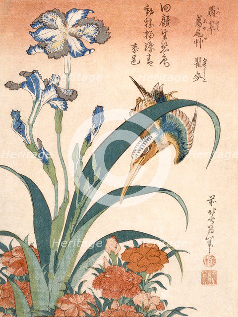 Kingfisher, Irises and Pinks, published c1834. Creator: Katsushika Hokusai (1760-1849).