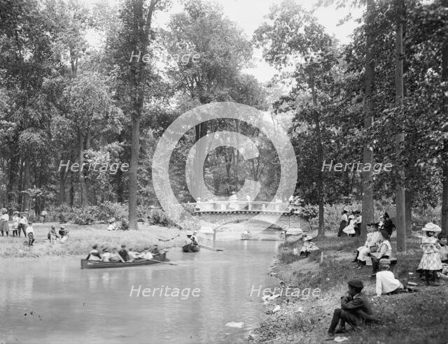 Bridge in the woods, Belle Isle [Park], Detroit, between 1900 and 1906. Creator: Lycurgus S. Glover.