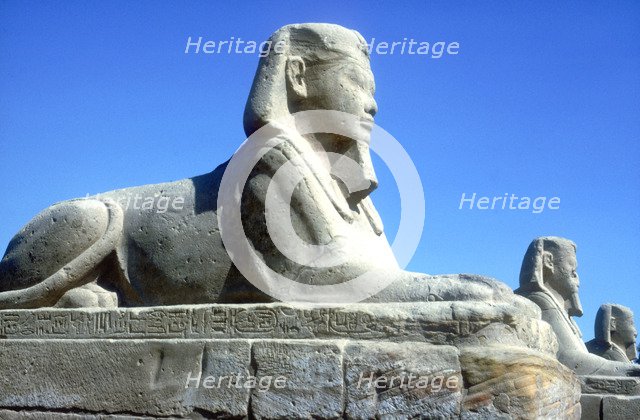 A sphinx from the avenue of Sphinxes, Temple sacred to Amun Mut & Khons, Luxor, Egypt, c370 BC. Artist: Unknown