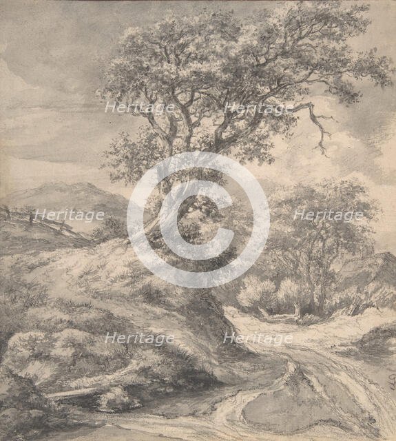 Dune Landscape with Oak Tree, 1650-55. Creator: Jacob van Ruisdael.
