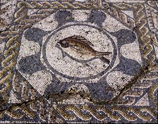 Mosaic in the dining room of the Amphitheatre house representing a fish, preserved in the archaeo…