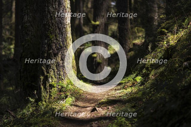 Trail Addiction. Creator: Joshua Johnston.