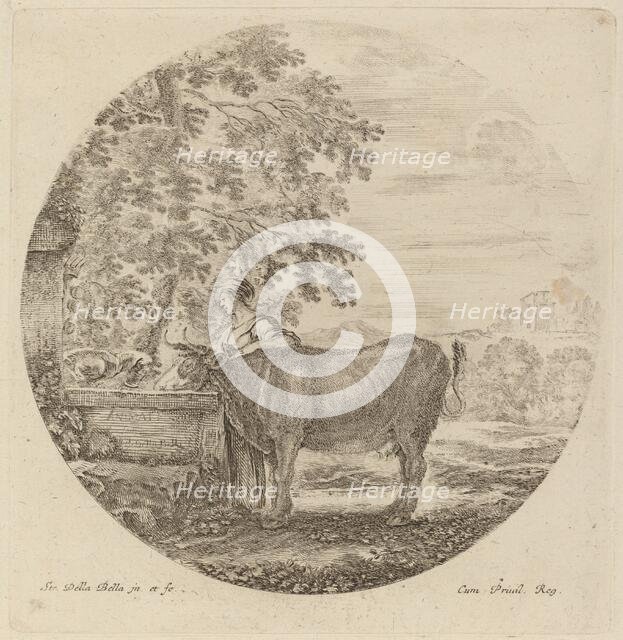 Cow and Young Shepherd at a Fountain. Creator: Stefano della Bella.