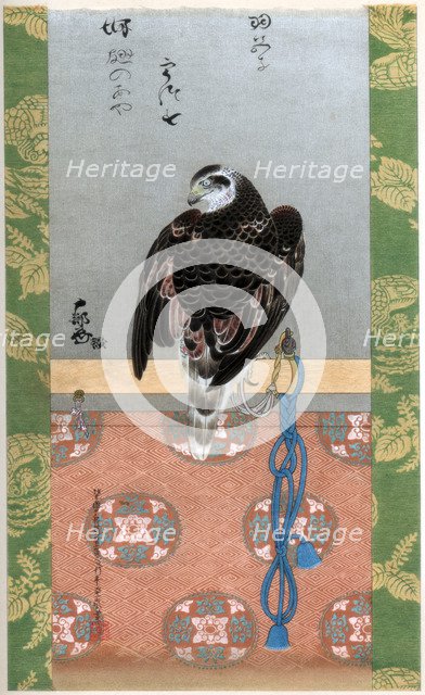 Falcon, c1790 (1886). Artist: Wilhelm Greve