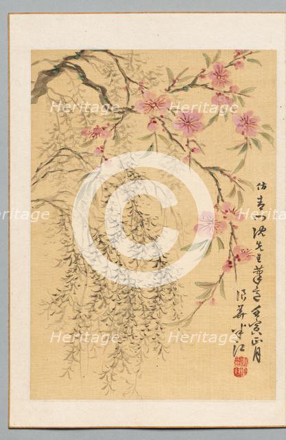 Peach Blossoms and Willows, 1842. Creator: Hanko Okada (Japanese, 1782-1845).