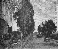 'View near Pretoria', c1880. Artist: Unknown.