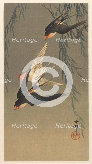 Three red-rumped swallows in a dive, 1920-1930. Creator: Ohara, Koson (1877-1945).