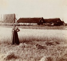 At harvest. Near the village of Byche, 1912. Creator: Sergey Mikhaylovich Prokudin-Gorsky.