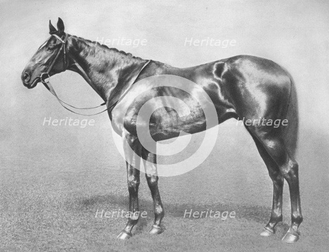 'Sir Archibald', 1911. Artist: Unknown.