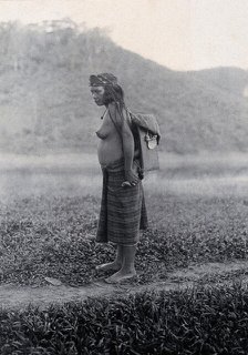 Sarawak: a Kayan woman carrying her child in a sling, c19th century. Creator: Unknown.