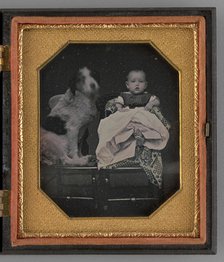Untitled (Portrait of a Baby and Dog), 1858. Creator: Unknown.
