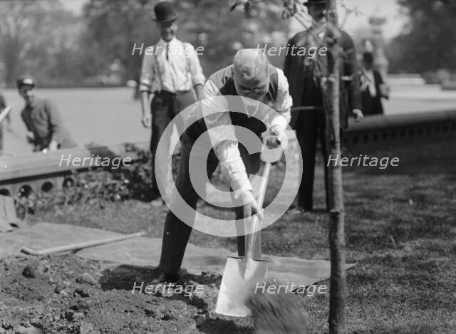 James R. Mann, Rep. from Illinois, Planting Tree At Capitol, 1912. Creator: Harris & Ewing.