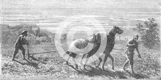 ''Ploughing in Turkestan; Notes on Western Turkistan', 1875. Creator: Unknown.