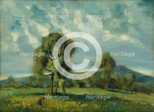 Landscape with trees, Liptov, c1934. Creator: Zolo Palugyay.