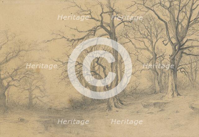 Study of trees, 1897. Creator: Ludovit Cordak.