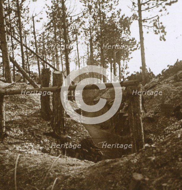 Bois-le-Prêtre, northern France, c1914-c1915. Artist: Unknown.
