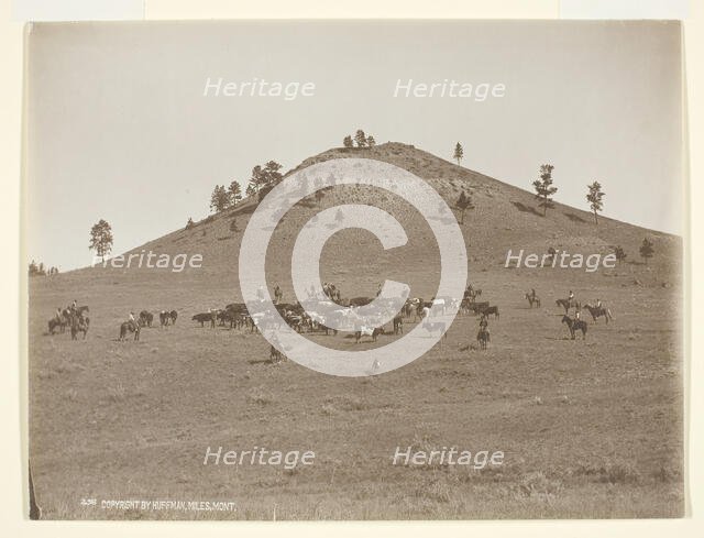 Working a little bunch in the hills, c. 1900. Creator: Laton Alton Huffman.