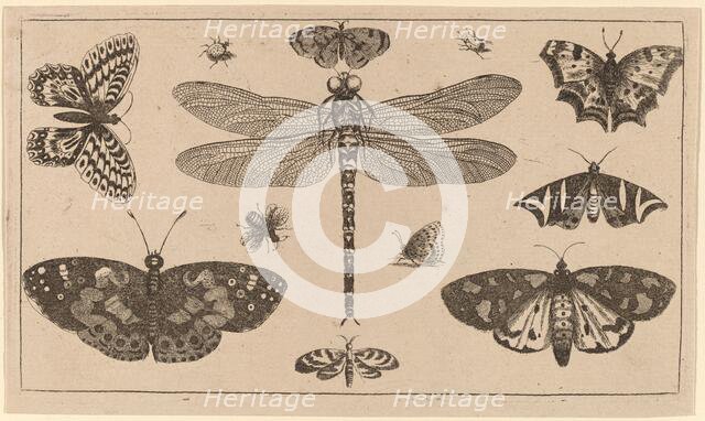 Dragonfly, Ladybirds, and Butterflies. Creator: Wenceslaus Hollar.
