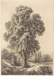 The Elm Tree, 1840. Creator: Eugene Blery.