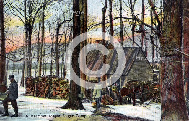 A Vermont maple sugar camp, USA, early 20th century. Artist: Unknown