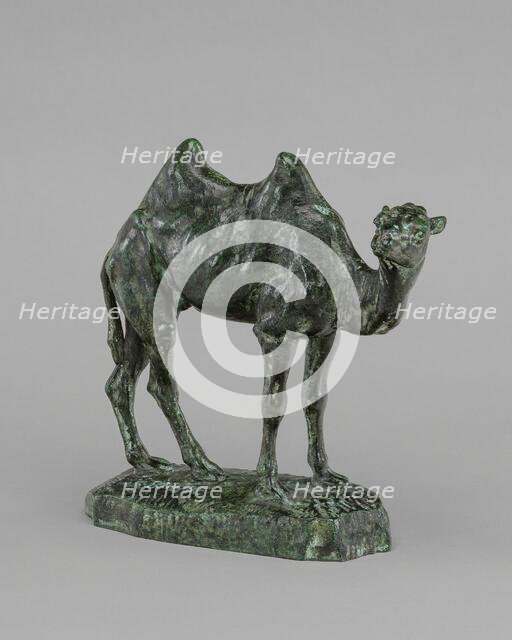 Persian Camel, model n.d., cast by 1874. Creator: Antoine-Louis Barye.