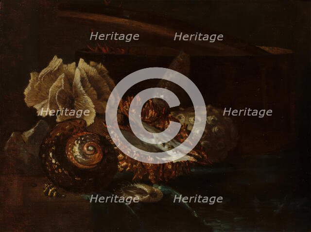 Still Life with Shells and Coral, c1640-1690. Creator: Willem Kalf.