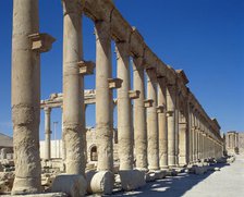 Colonnade, ruins of Palmyra, Syria, 3rd century, (2001).  Creator: LTL.