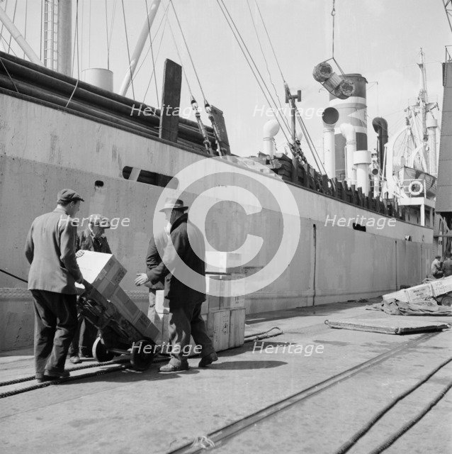 Loading a ship at the North Quay, West India Docks, London, c1945-c1965. Artist: SW Rawlings