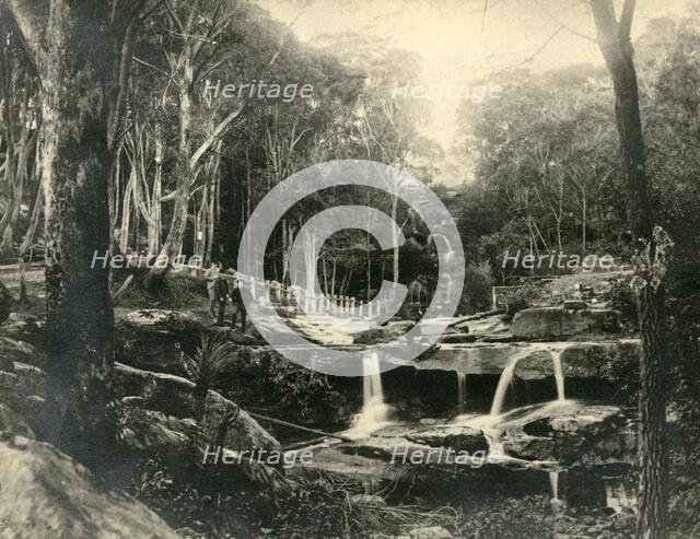 Mosman Bay: lower falls. Creator: Unknown.