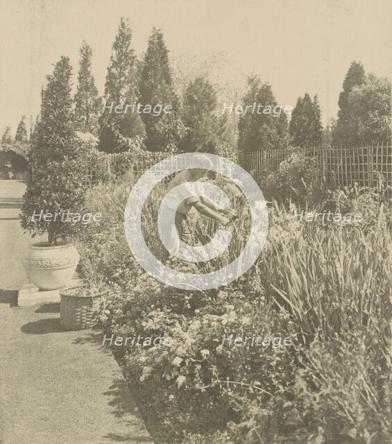 Gardener tending floral border, posed to...Rudyard Kipling's poem The Glory of the Garden, 1917. Creator: Frances Benjamin Johnston.